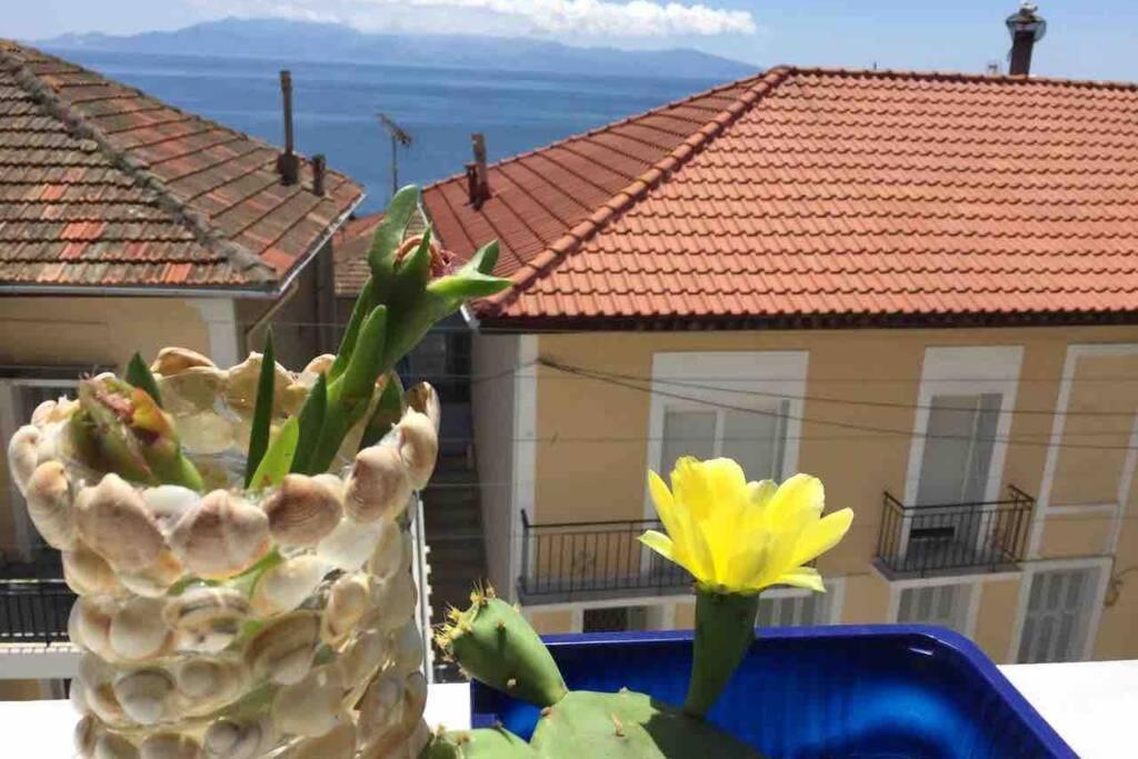 # Perfection Sea View Apartments Kawala Zewnętrze zdjęcie